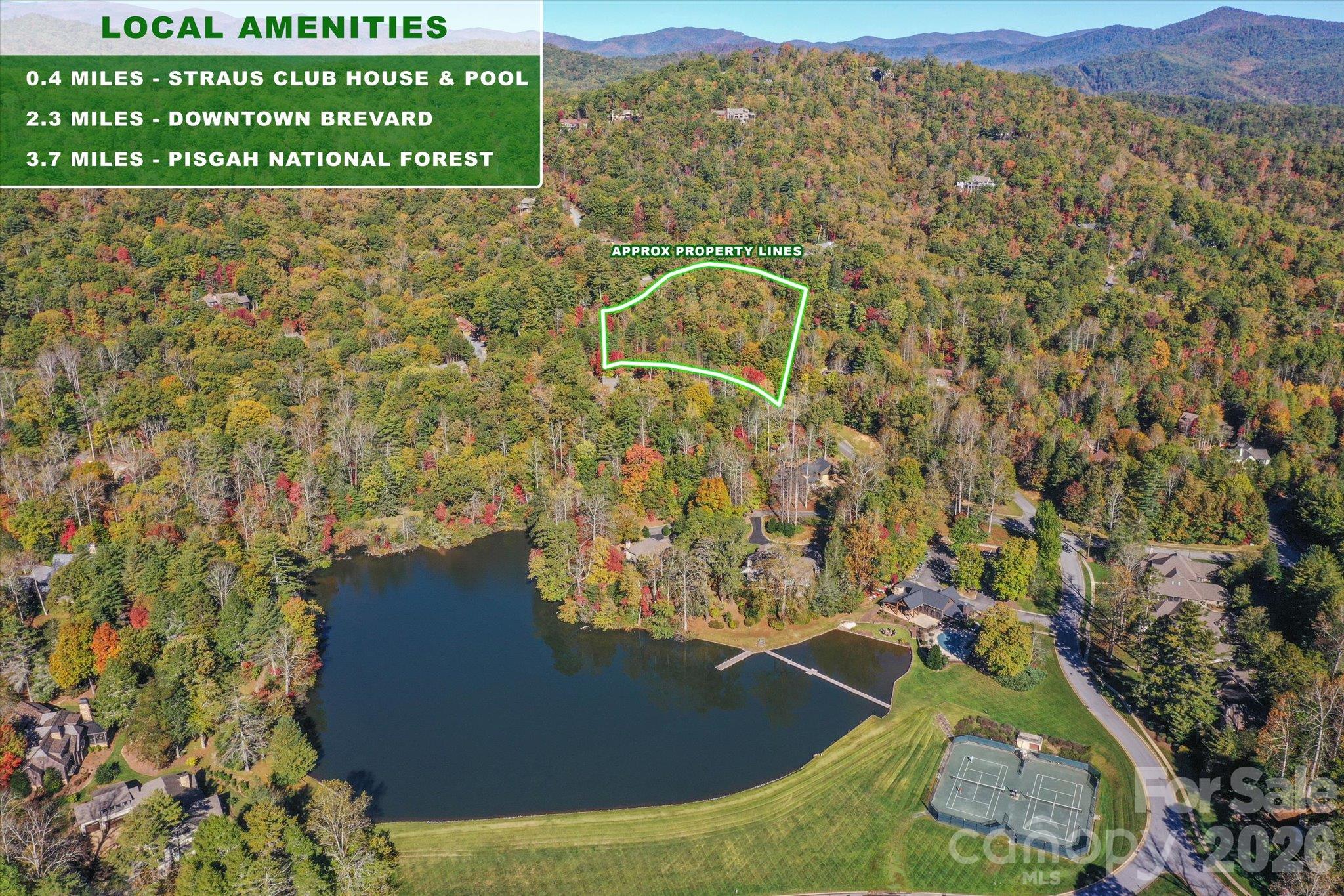 Lot at TBD Pine Mountain Trail, Brevard, photo 5 of 12