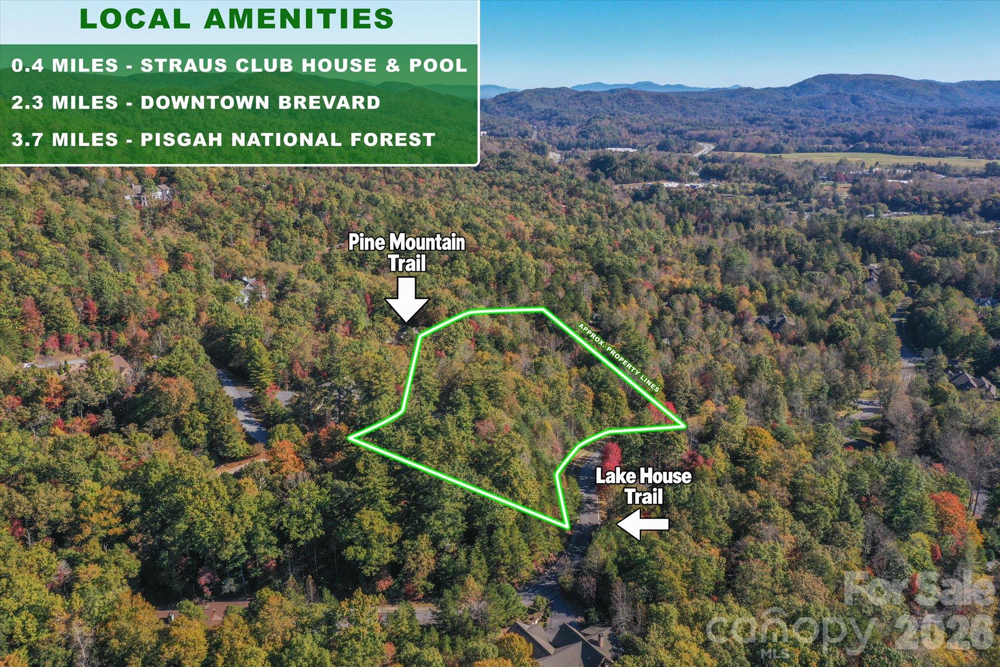 Lot at TBD Pine Mountain Trail, Brevard, photo 6 of 12