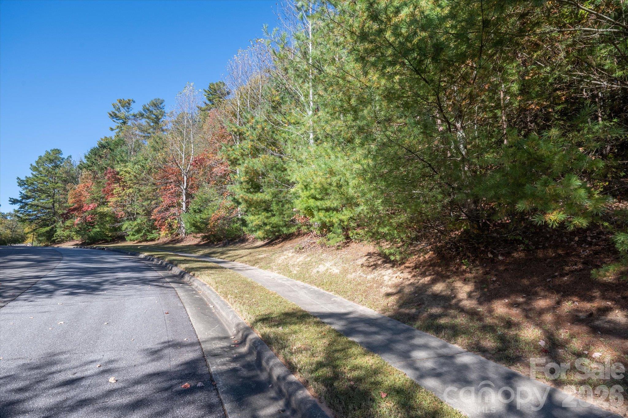 Lot at TBD Pine Mountain Trail, Brevard, photo 7 of 12