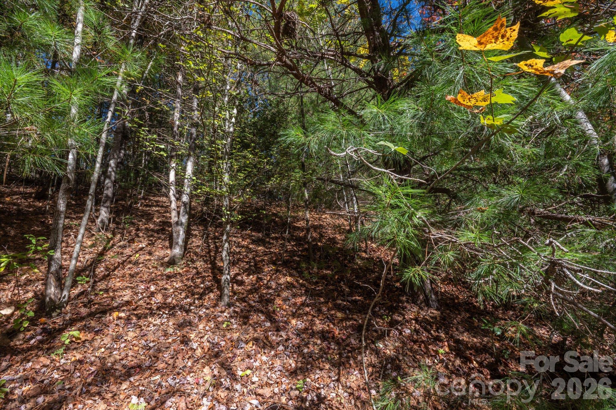 Lot at TBD Pine Mountain Trail, Brevard, photo 10 of 12