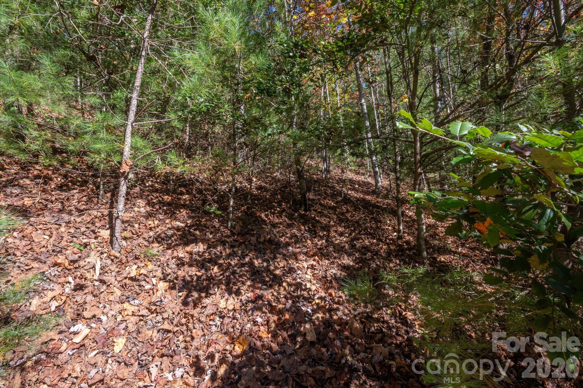 Lot at TBD Pine Mountain Trail, Brevard, photo 11 of 12