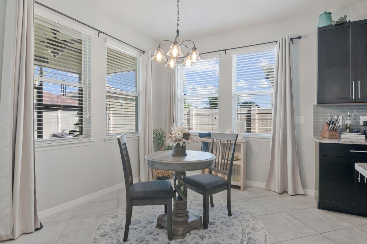 Plenty of room for bigger table if desired. Great natural light. - 11143 SPRING POINT CIR, RIVERVIEW