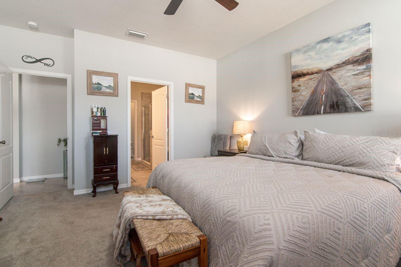 View to ensuite bathroom - 11143 SPRING POINT CIR, RIVERVIEW