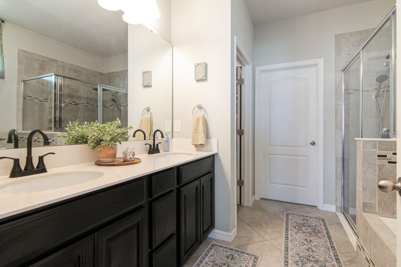 Spacious 2 sink countertops, lots of cabinet storage space and walk in closet space. - 11143 SPRING POINT CIR, RIVERVIEW