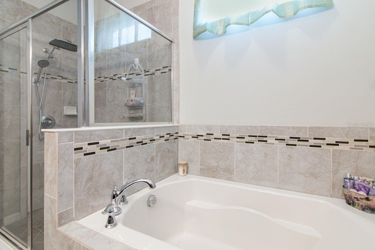 Separate soaking tub and walk in shower. Toilet has own room. - 11143 SPRING POINT CIR, RIVERVIEW