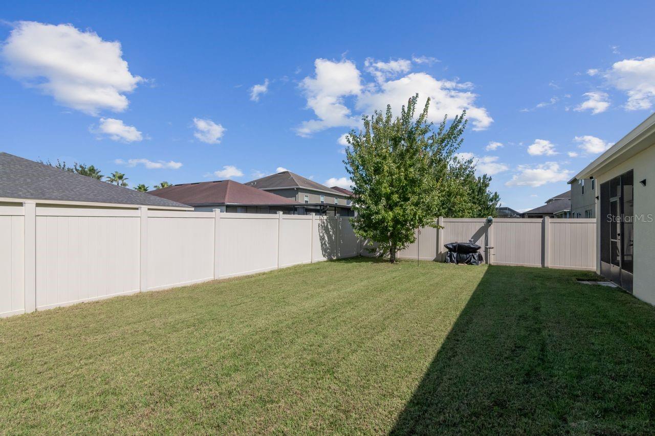Manicured backyard. Start dreaming of all the possibilities! - 11143 SPRING POINT CIR, RIVERVIEW