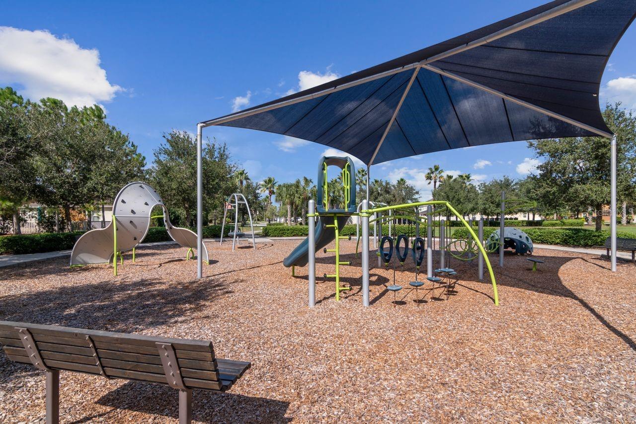 Play Area - 11143 SPRING POINT CIR, RIVERVIEW