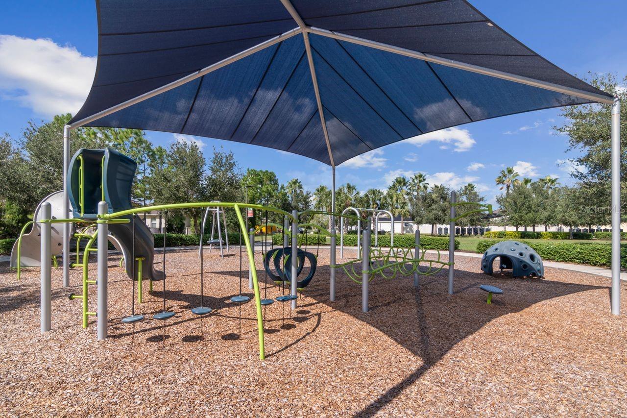 Well maintained children's play area. - 11143 SPRING POINT CIR, RIVERVIEW