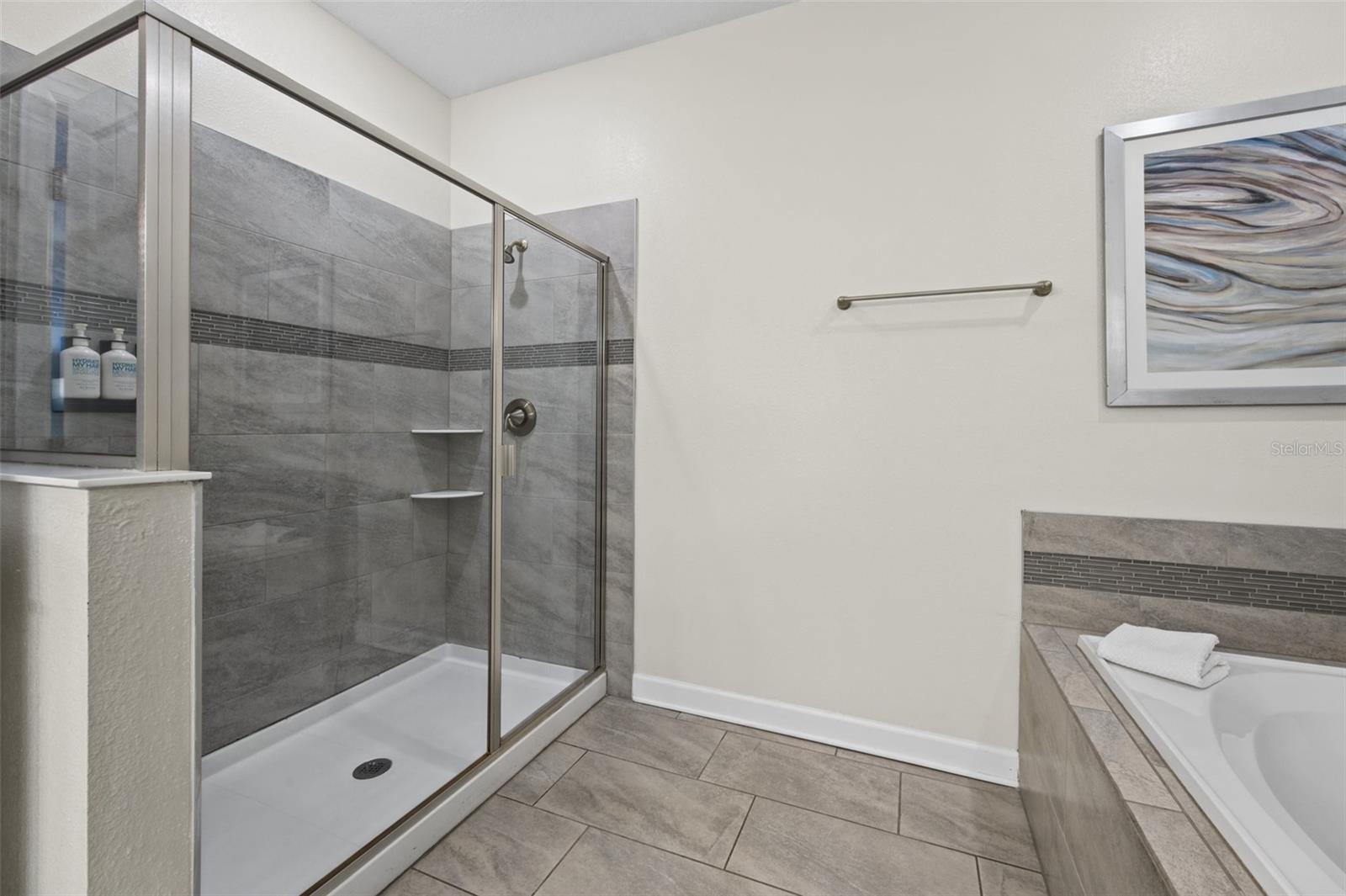 Walk-in shower and tub - 1540 MAIDSTONE CT, DAVENPORT