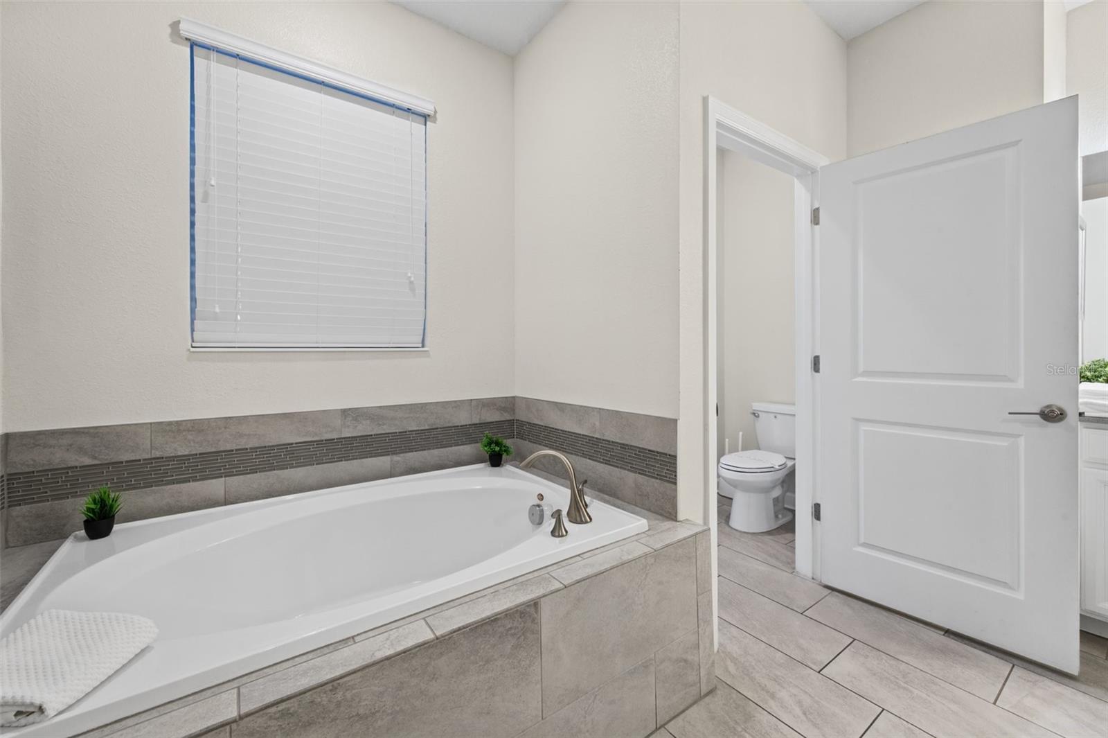 Soaking tub - 1540 MAIDSTONE CT, DAVENPORT