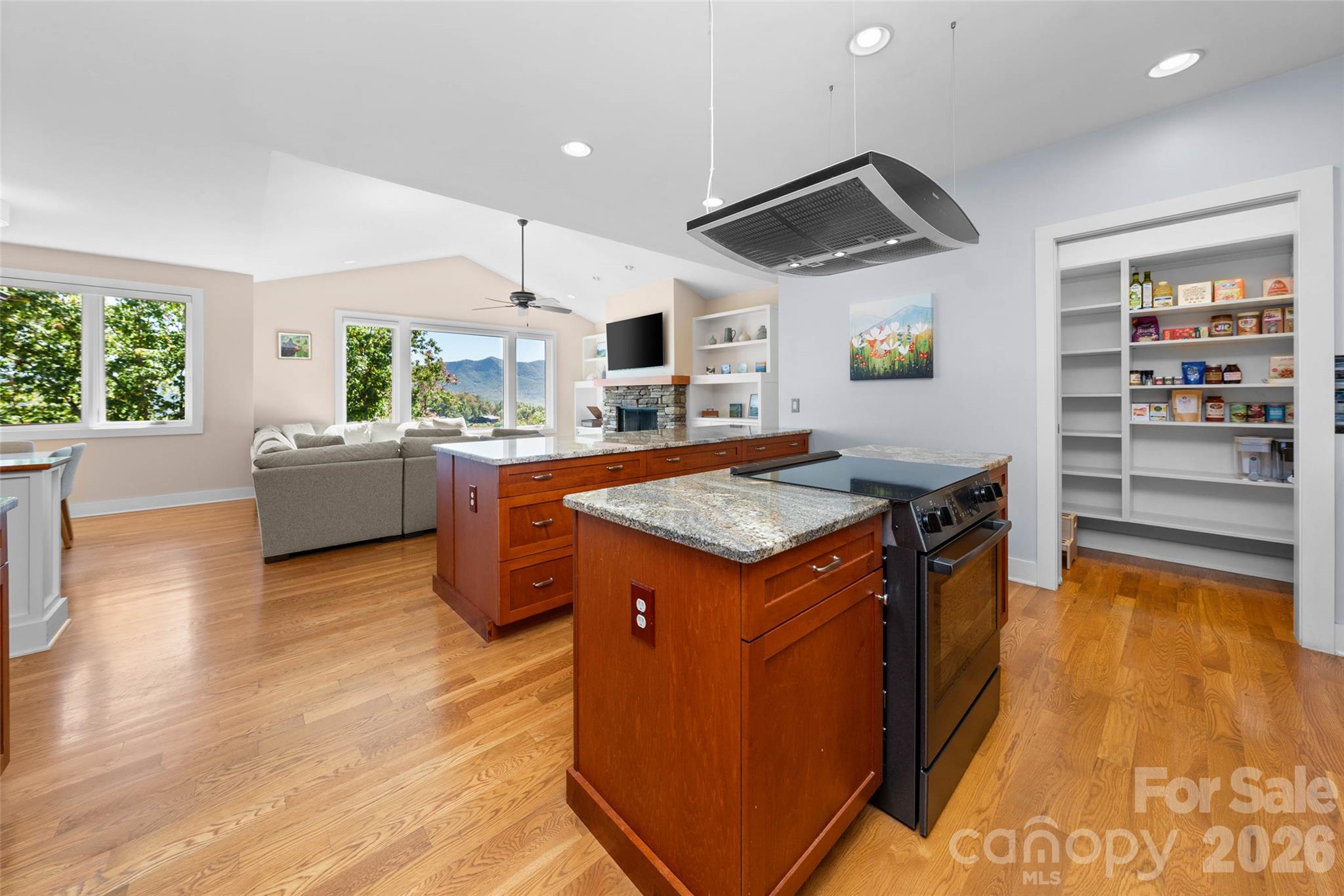 Single Family Residence at 351 Chapel Road, Black Mountain, photo 15 of 81