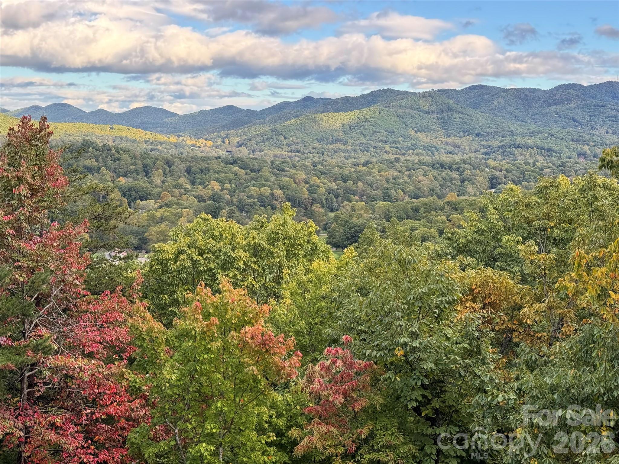 Great mountain view of the seven sisters mountain range from the home. - 351 Chapel Road, Black Mountain
