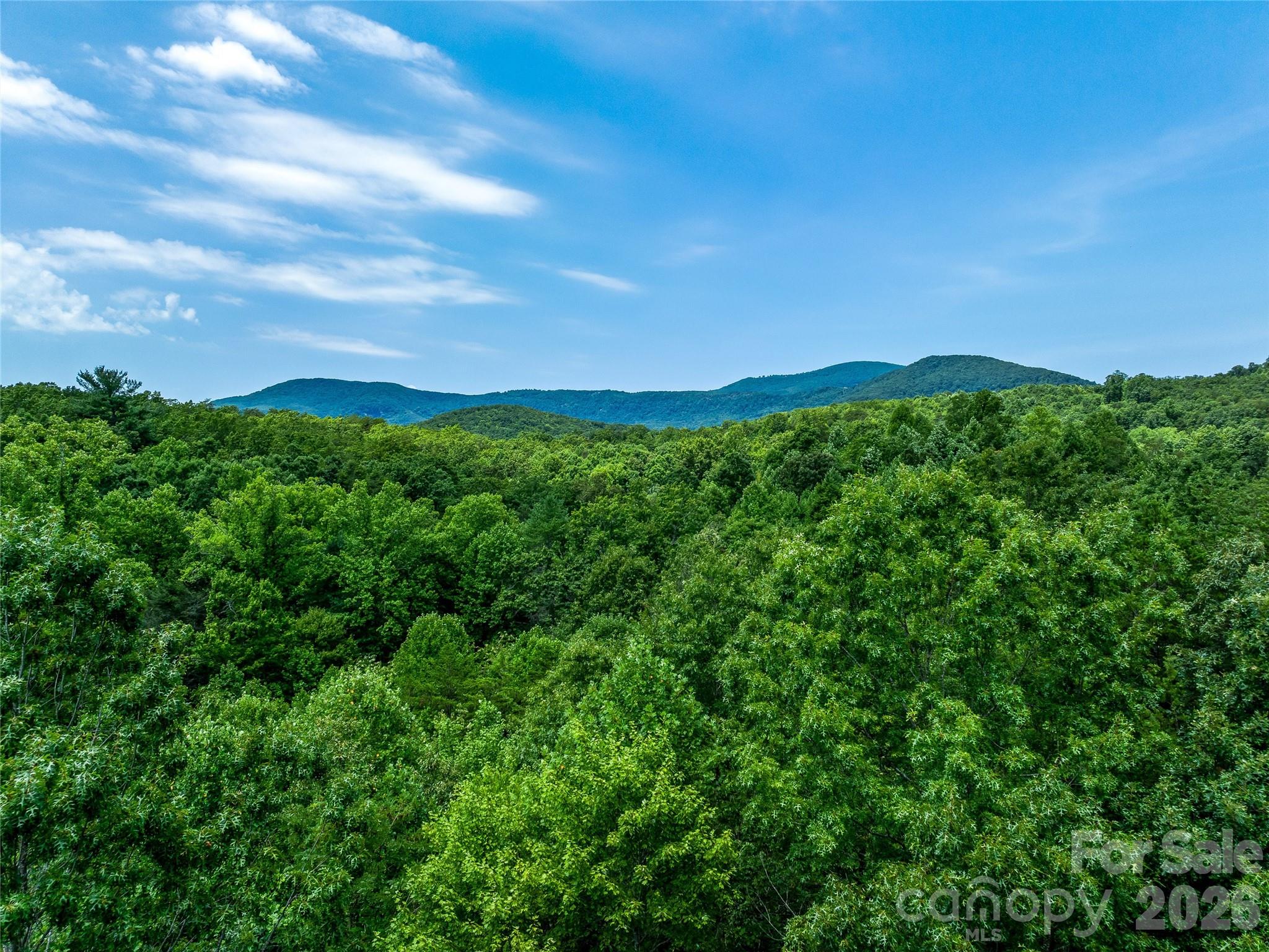Acreage at TBD Owl Hollow Road, Mill Spring, photo 15 of 25