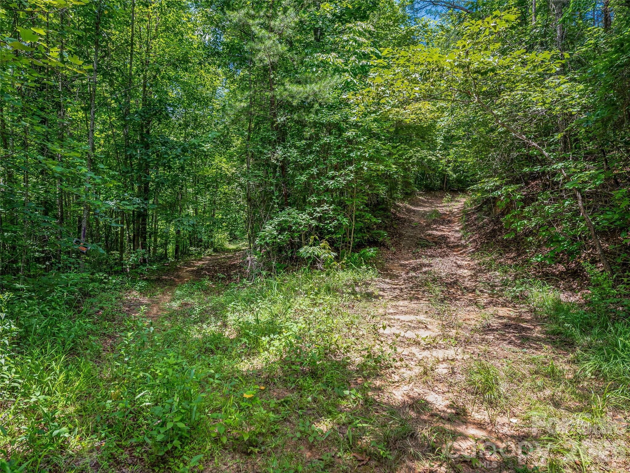 Acreage at TBD Owl Hollow Road, Mill Spring, photo 16 of 25