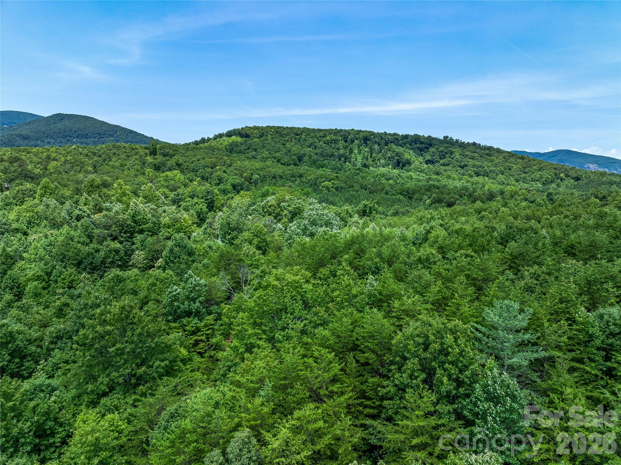 Acreage at TBD Owl Hollow Road, Mill Spring, photo 18 of 25