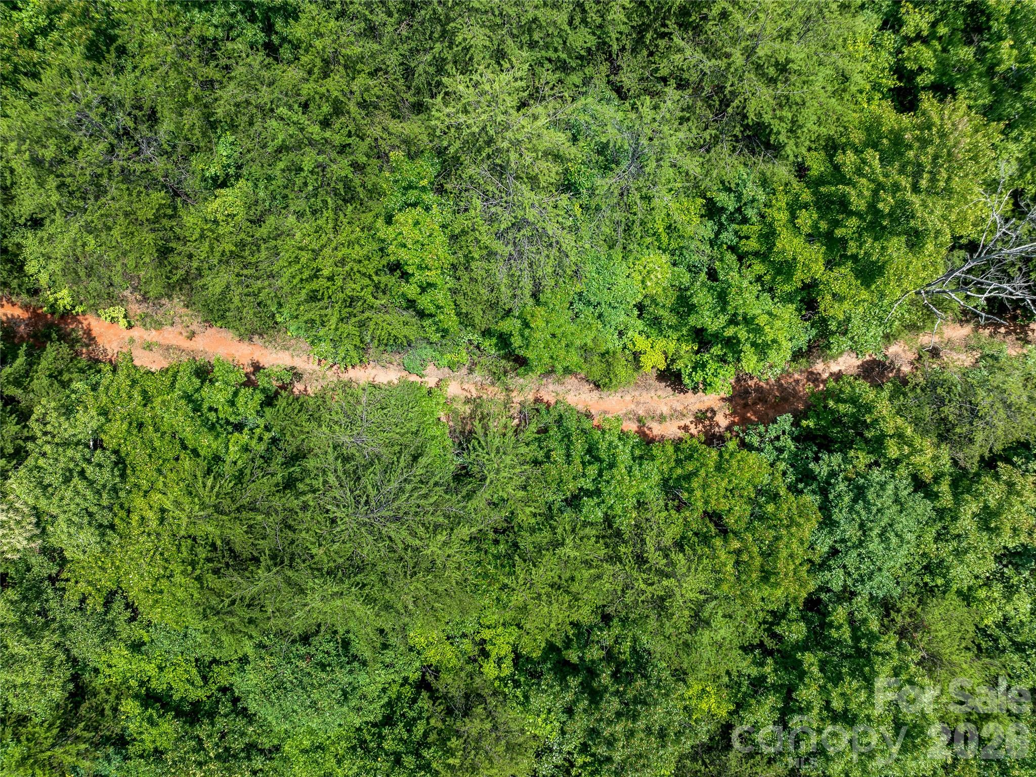Overhead of the roughed in roadway. - TBD Owl Hollow Road, Mill Spring