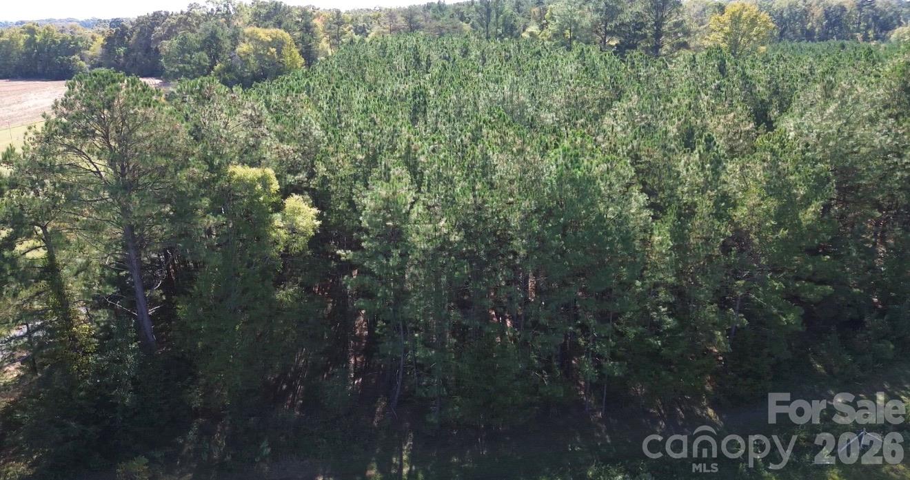 Lot at 00 Barbees Grove Road, Oakboro, photo 4 of 6