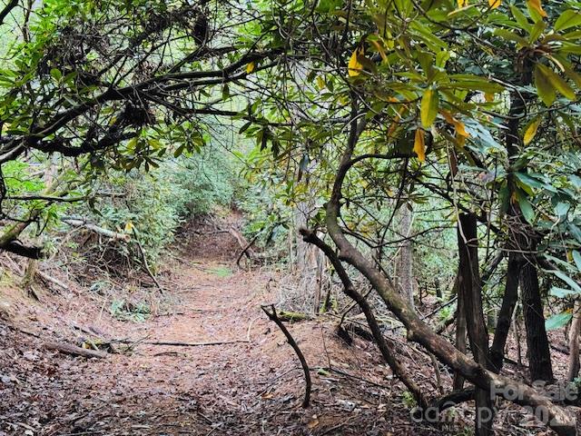 Acreage at TBD Old Little Mountain Road, Pisgah Forest, photo 7 of 33
