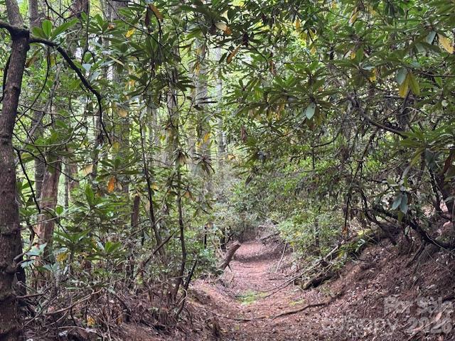 Acreage at TBD Old Little Mountain Road, Pisgah Forest, photo 9 of 33