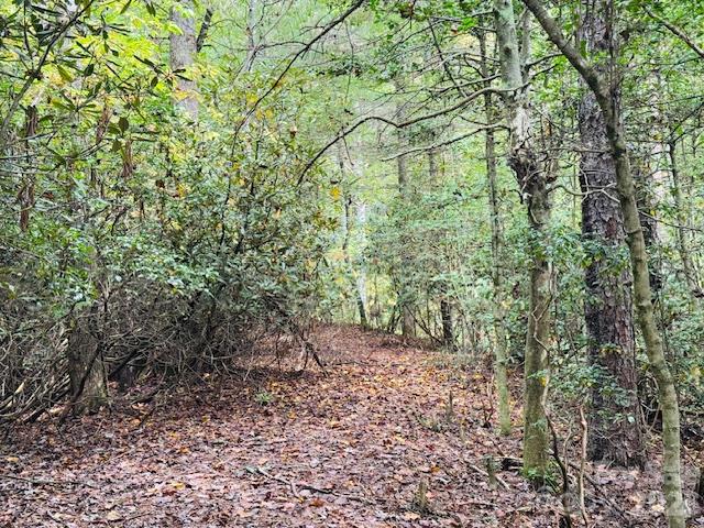 Acreage at TBD Old Little Mountain Road, Pisgah Forest, photo 12 of 33