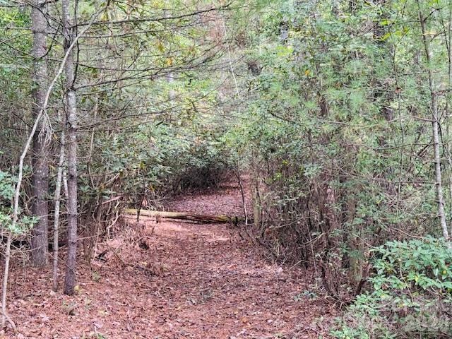 Acreage at TBD Old Little Mountain Road, Pisgah Forest, photo 14 of 33