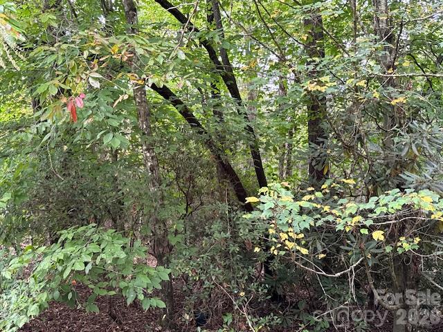 Acreage at TBD Old Little Mountain Road, Pisgah Forest, photo 16 of 33