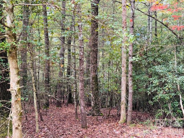 Acreage at TBD Old Little Mountain Road, Pisgah Forest, photo 19 of 33