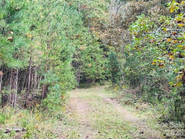 Acreage at TBD Old Little Mountain Road, Pisgah Forest, photo 22 of 33