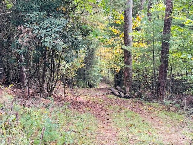Acreage at TBD Old Little Mountain Road, Pisgah Forest, photo 23 of 33