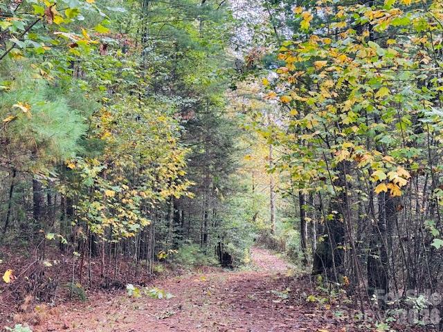Acreage at TBD Old Little Mountain Road, Pisgah Forest, photo 26 of 33