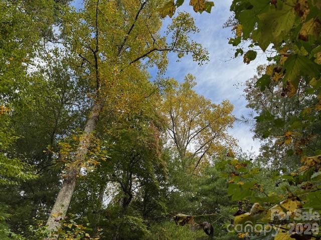 Acreage at TBD Old Little Mountain Road, Pisgah Forest, photo 27 of 33
