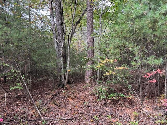 Acreage at TBD Old Little Mountain Road, Pisgah Forest, photo 29 of 33