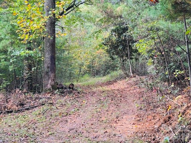 Acreage at TBD Old Little Mountain Road, Pisgah Forest, photo 30 of 33