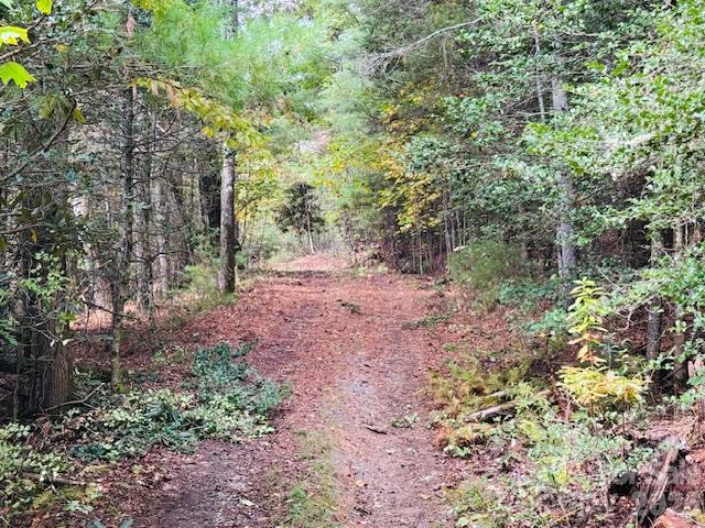 Acreage at TBD Old Little Mountain Road, Pisgah Forest, photo 31 of 33