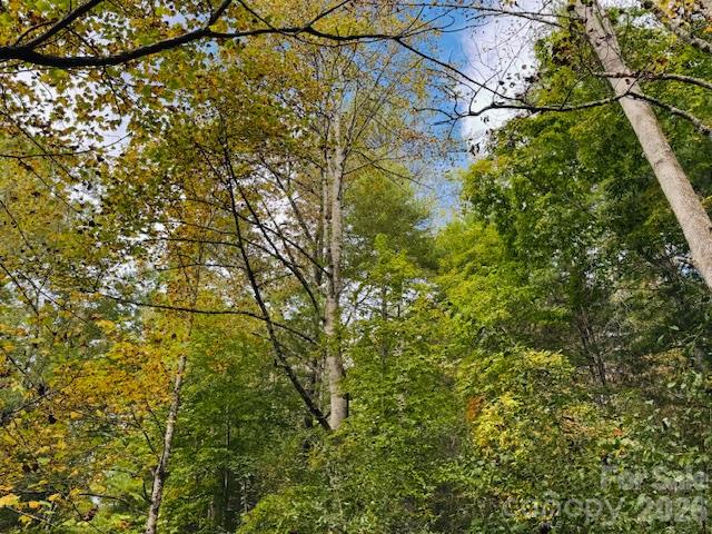 Acreage at TBD Old Little Mountain Road, Pisgah Forest, photo 32 of 33