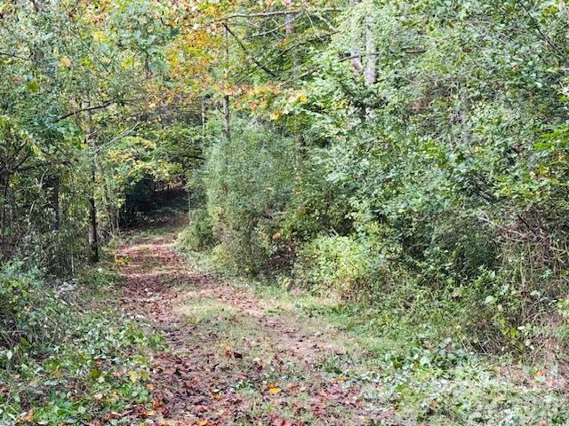 Acreage at TBD Old Little Mountain Road, Pisgah Forest, photo 33 of 33