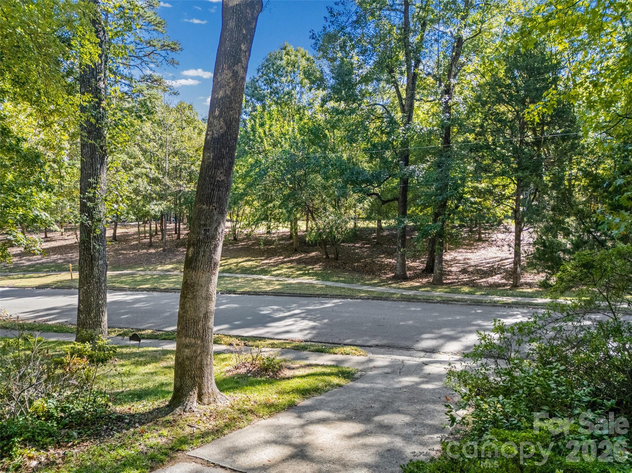 Front yard overlooking Fewell Park - 635 Glendale Drive, Rock Hill