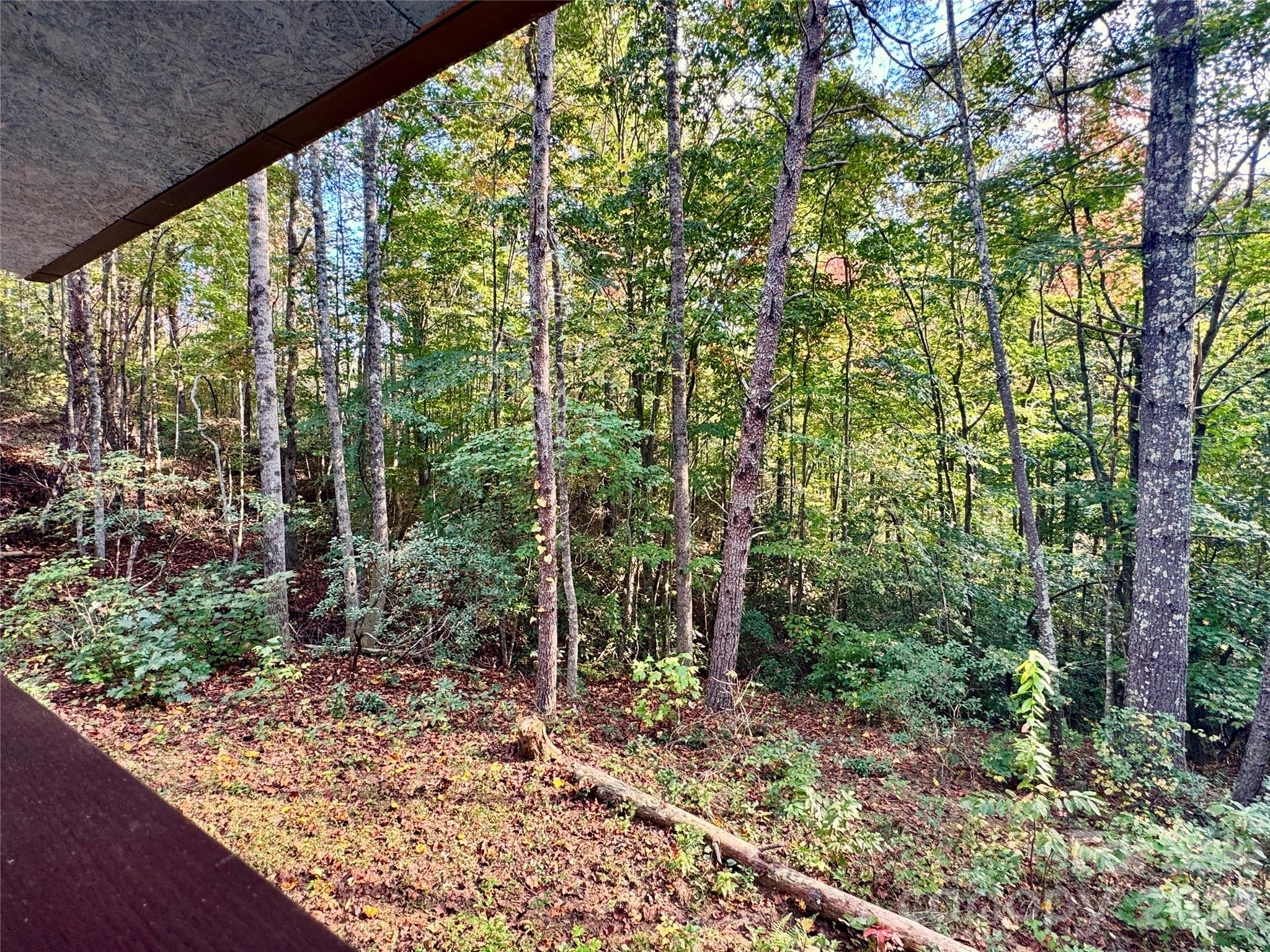 Lot at 5314 Daisy Place, Collettsville, photo 19 of 35