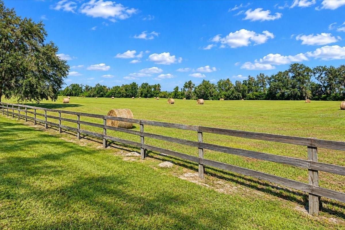 Farm at 16752 NW 10TH AVE, TRENTON, photo 44 of 59