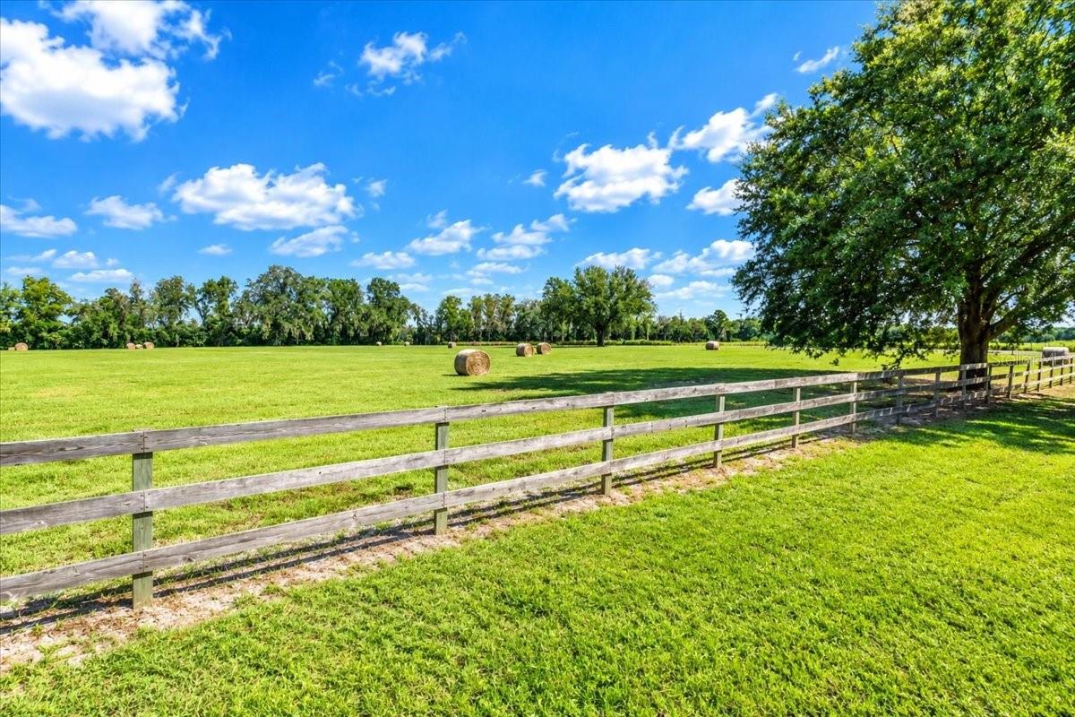 Farm at 16752 NW 10TH AVE, TRENTON, photo 45 of 59