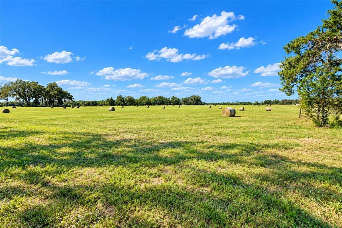 Farm at 16752 NW 10TH AVE, TRENTON, photo 48 of 59