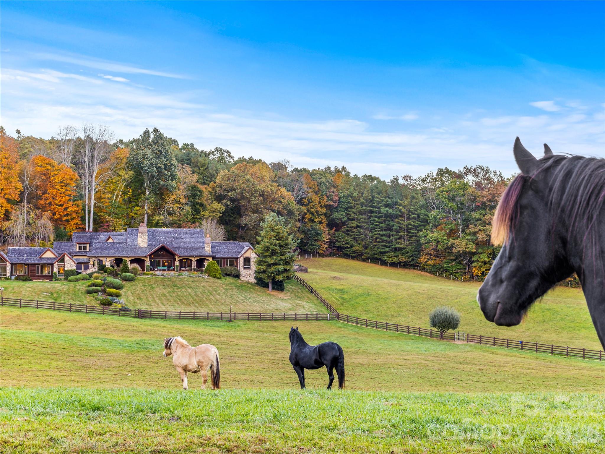Rolling pastures, fencing, stables, privacy, and more. - 422 Heart Stone Way, Burnsville