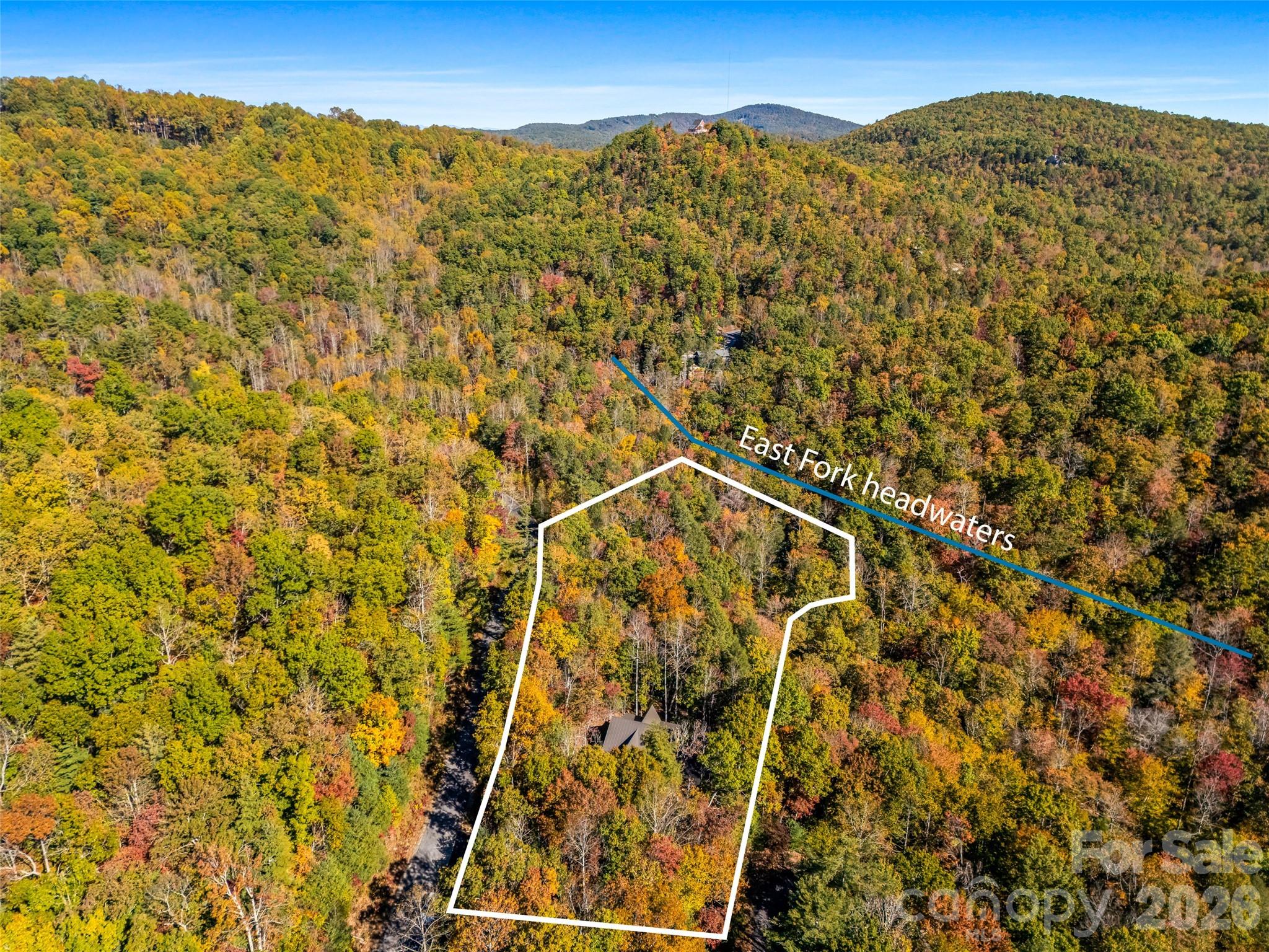 Borders East Fork Headwaters! - 384 Green Hollow Lane, Brevard