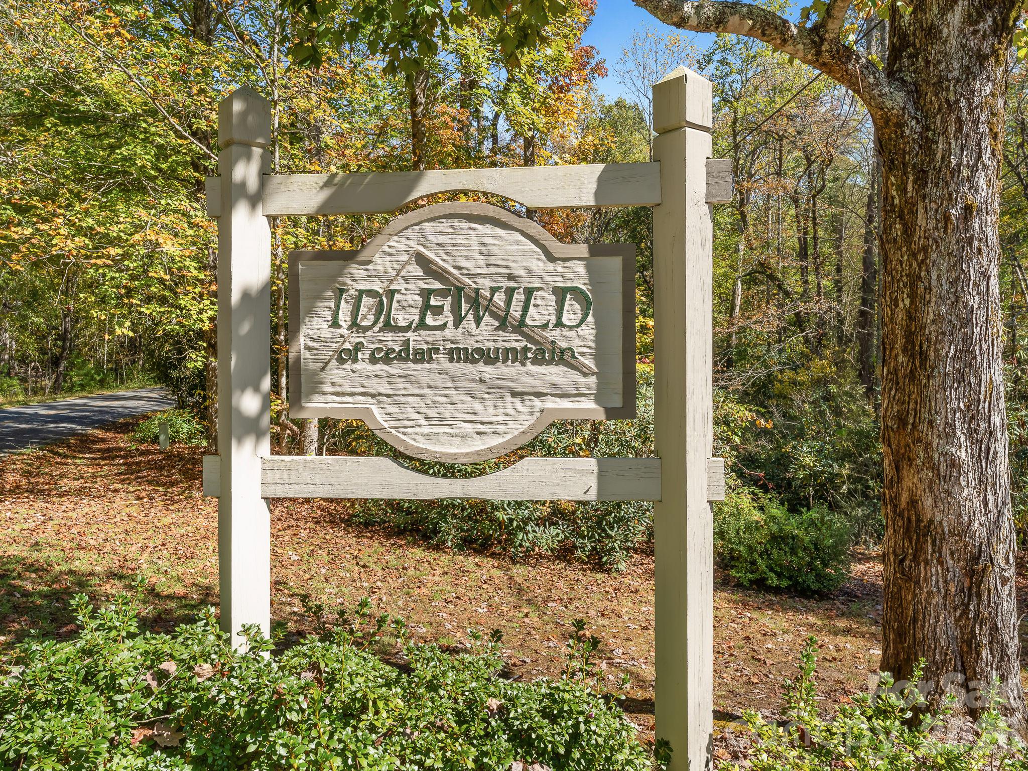 Lot at Lot 15 Spanish Oak Drive, Cedar Mountain, photo 2 of 19