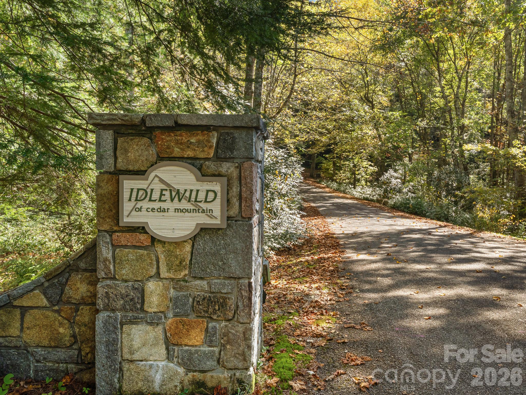 Lot at Lot 15 Spanish Oak Drive, Cedar Mountain, photo 3 of 19