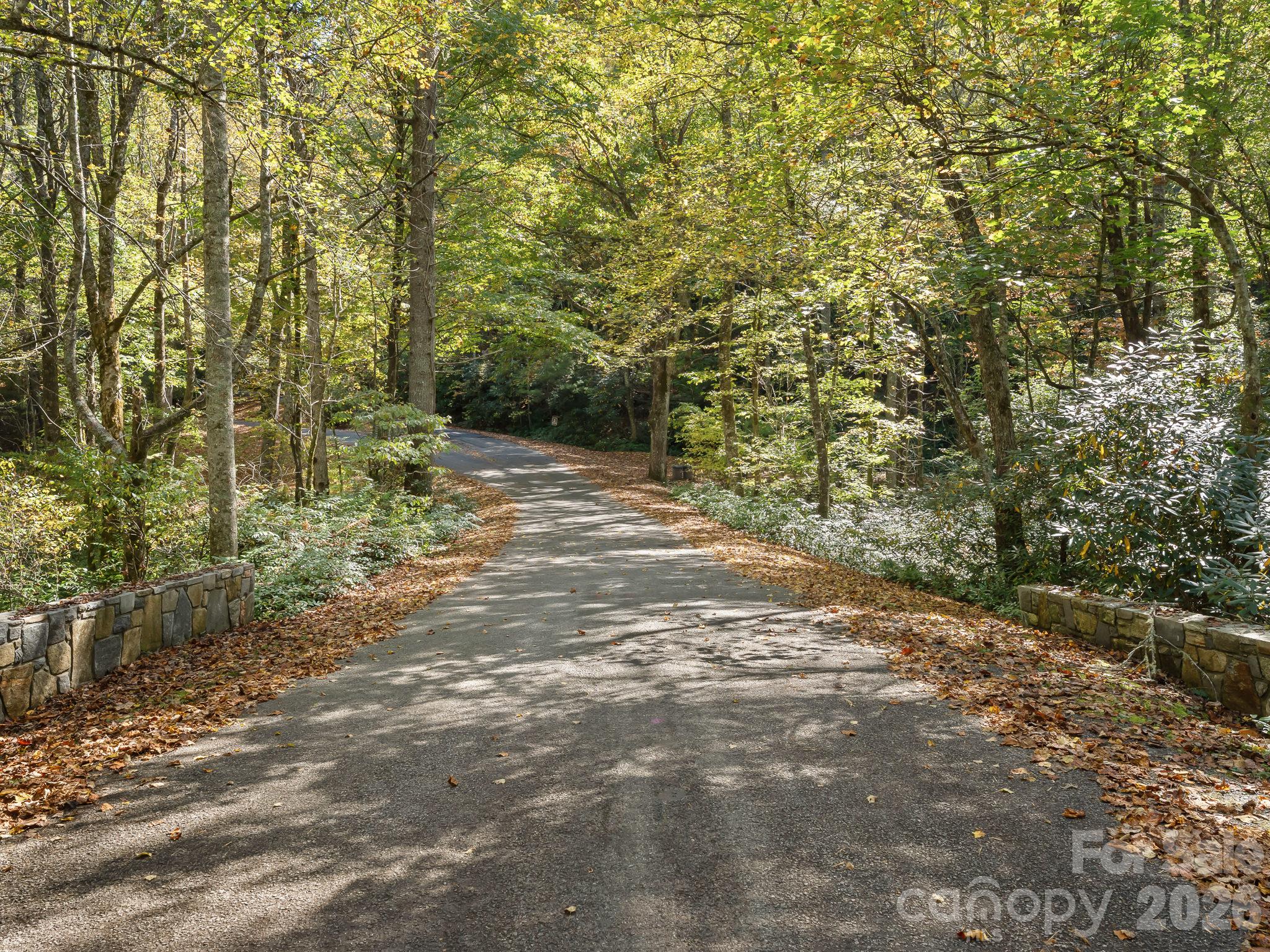 Lot at Lot 15 Spanish Oak Drive, Cedar Mountain, photo 4 of 19
