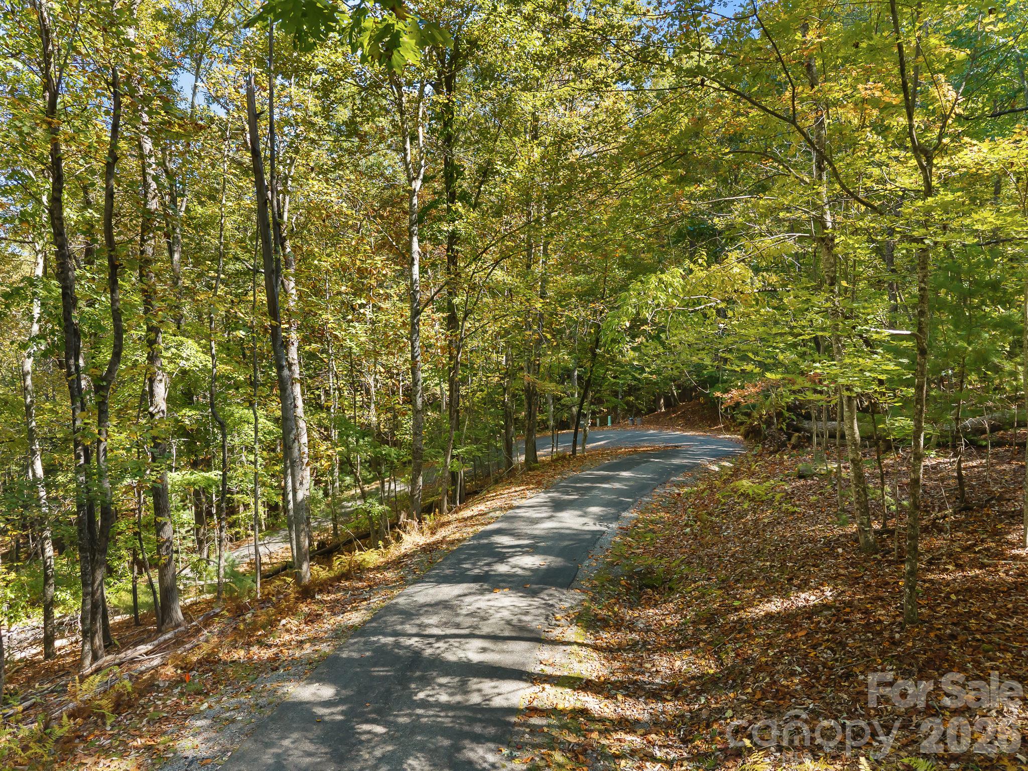 Lot at Lot 15 Spanish Oak Drive, Cedar Mountain, photo 7 of 19