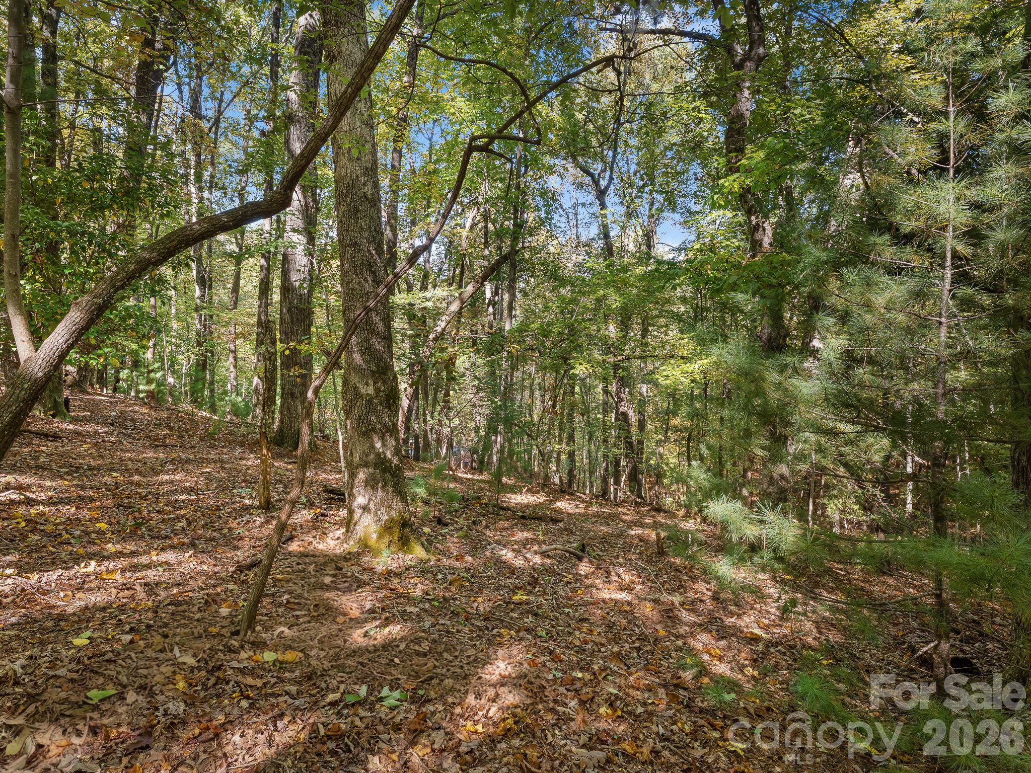 Lot at Lot 15 Spanish Oak Drive, Cedar Mountain, photo 9 of 19