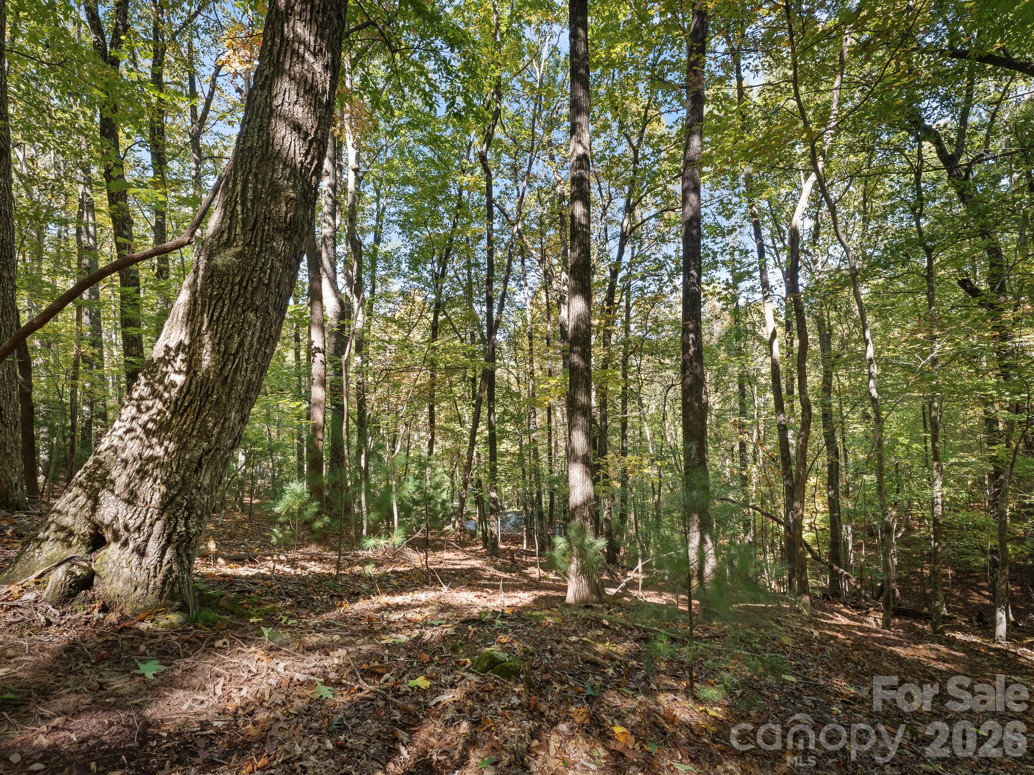 Lot at Lot 15 Spanish Oak Drive, Cedar Mountain, photo 12 of 19