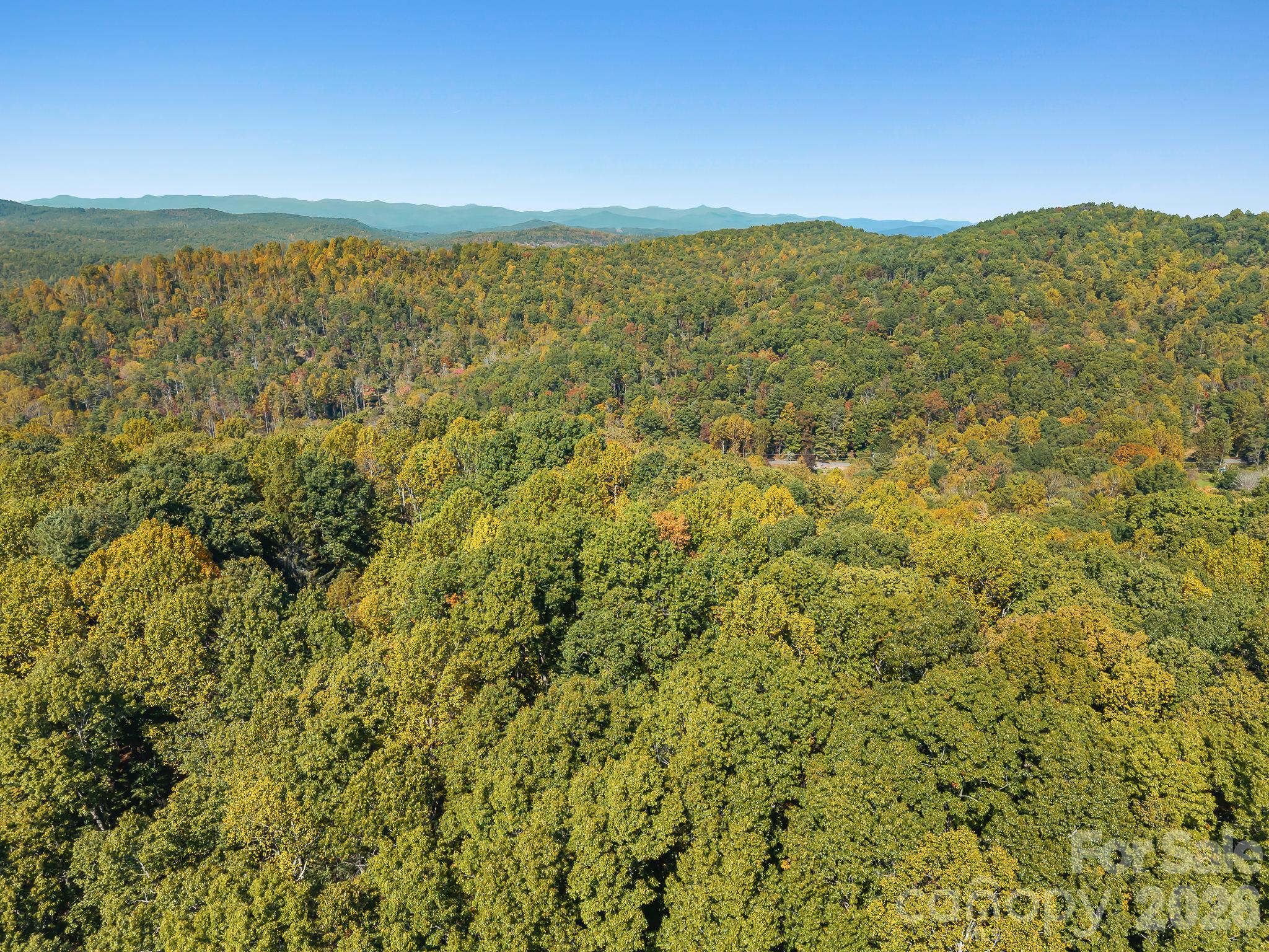 Lot at Lot 15 Spanish Oak Drive, Cedar Mountain, photo 16 of 19